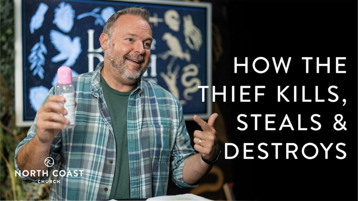 22 - How The Thief Kills, Steals And Destroys