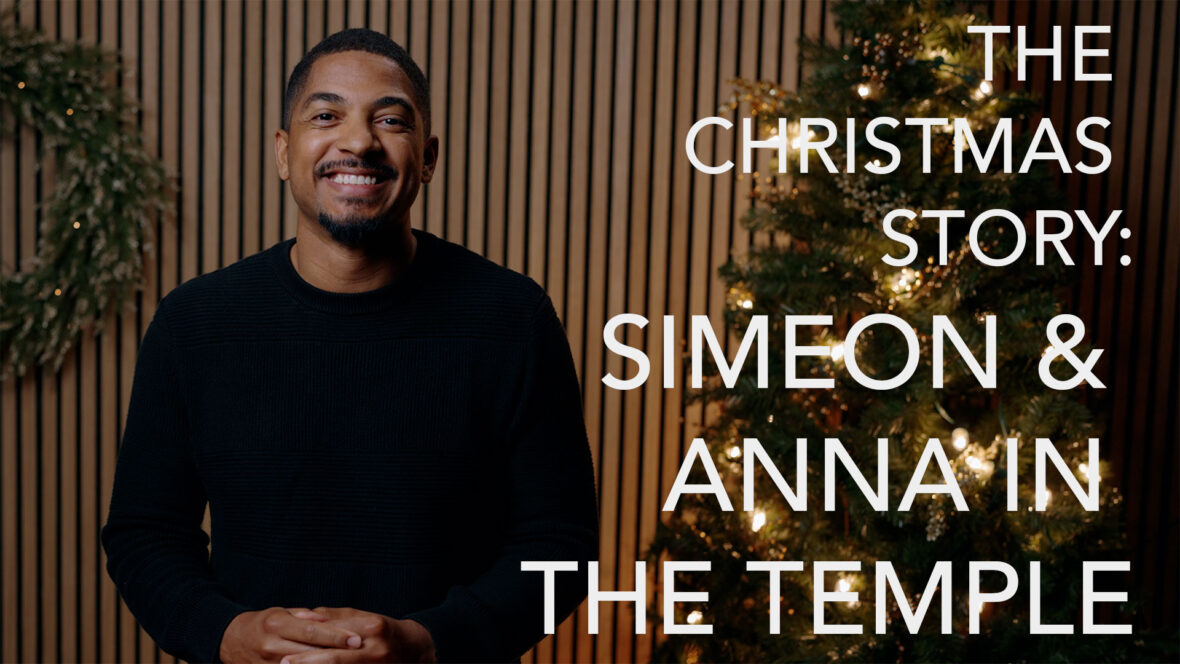 The Christmas Story - Simeon & Anna in the Temple