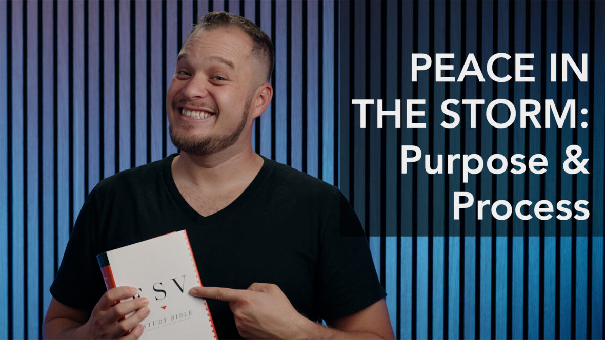 Peace In The Storm: Purpose & Process Image